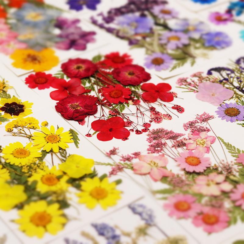 Resin Craft Ideas - Echte Natürliche Gepresste Getrocknete Pflanzenblumen DIY-Bastelmaterialien