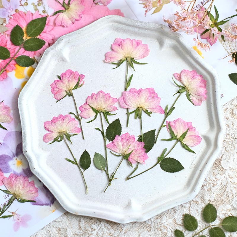 Resin Craft Ideas - 12 Stück, echte getrocknete gepresste Blumen