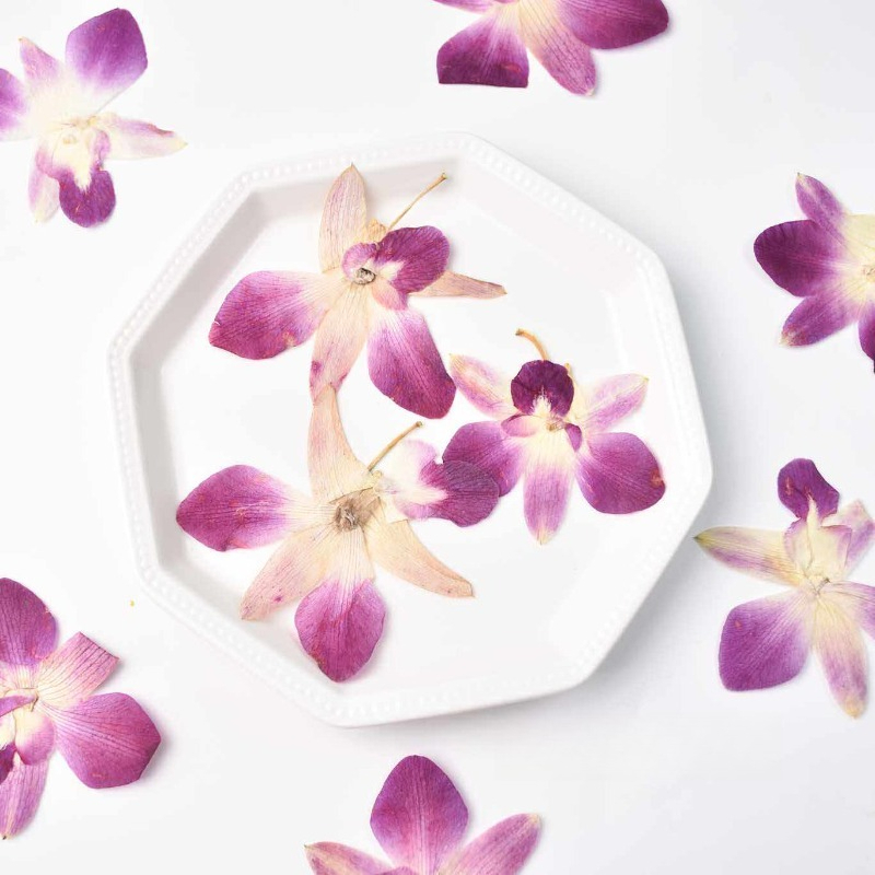 4 Stück, Echte Gepresste Schme – Resin Craft Ideas Bewertung und Preis