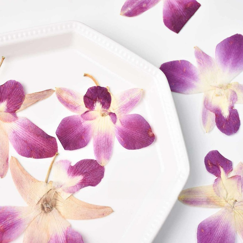 4 Stück, Echte Gepresste Schme – Resin Craft Ideas Bewertung und Preis