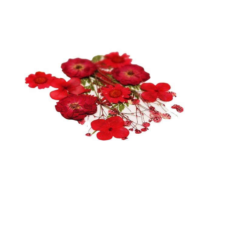 Echte Natürliche Gepresste Get – Resin Craft Ideas Bewertung und Preis