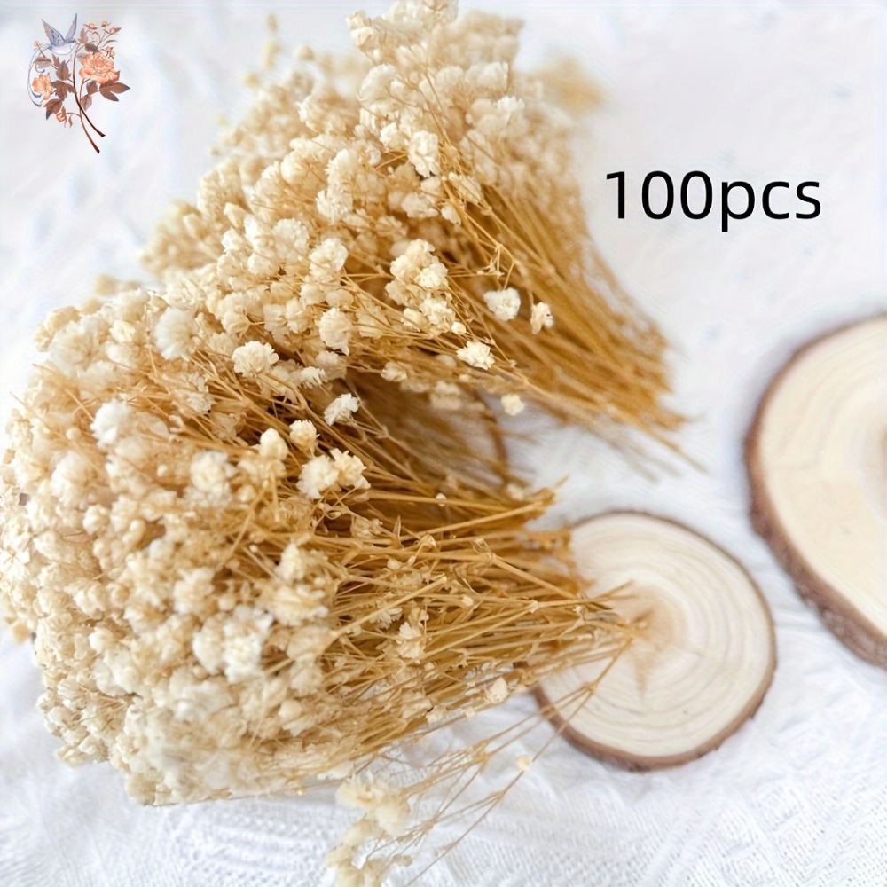 100 Stück Mini Getrocknete Sch – Resin Craft Ideas Bewertung und Preis